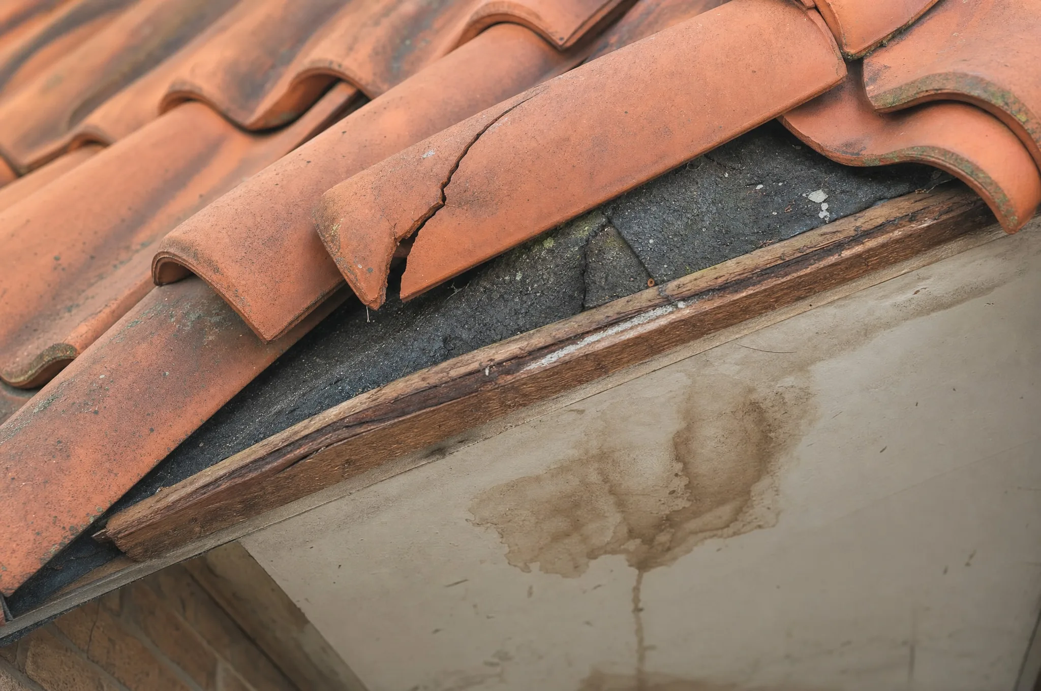 broken tile · damp halo in attic